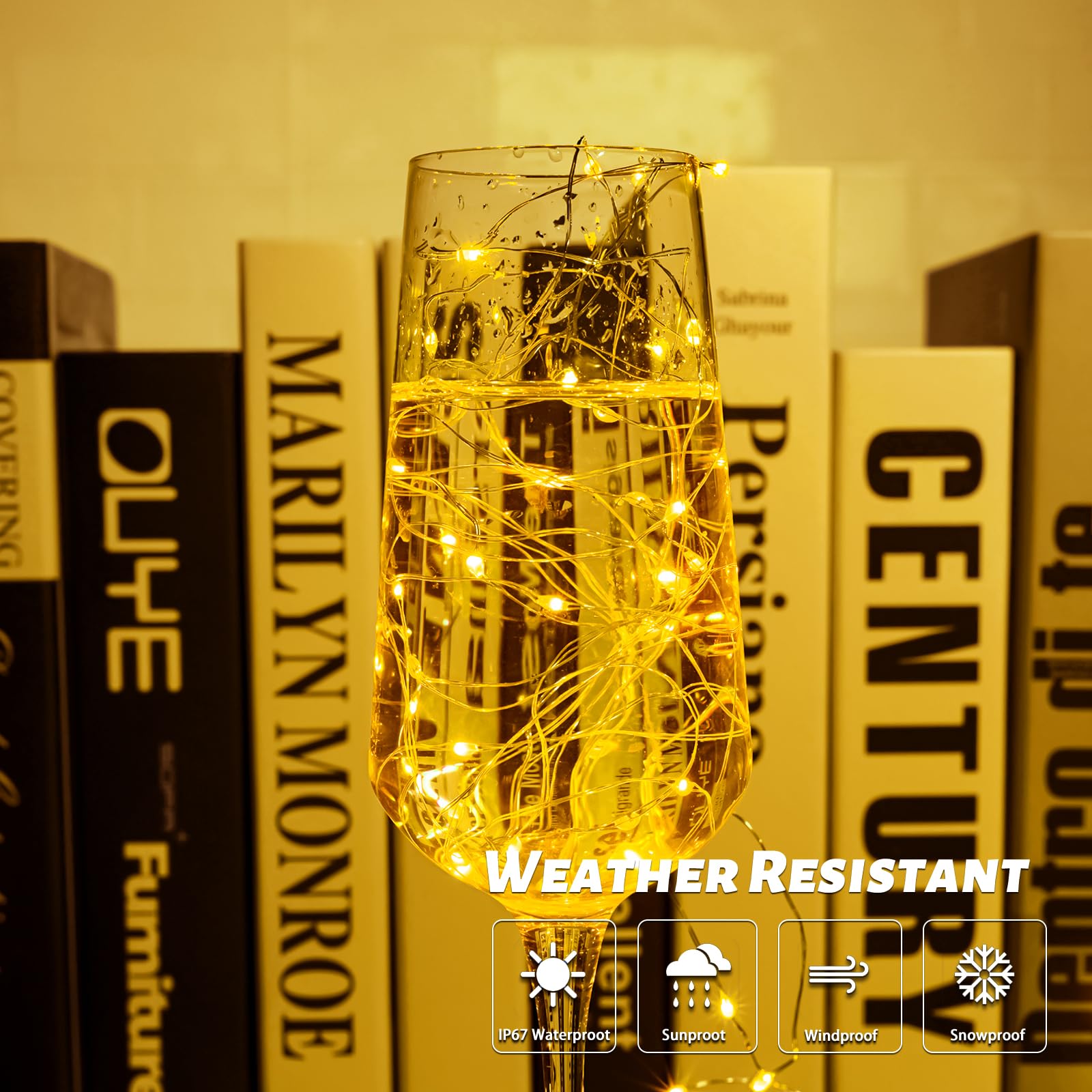 66ft LED Fairy Lights