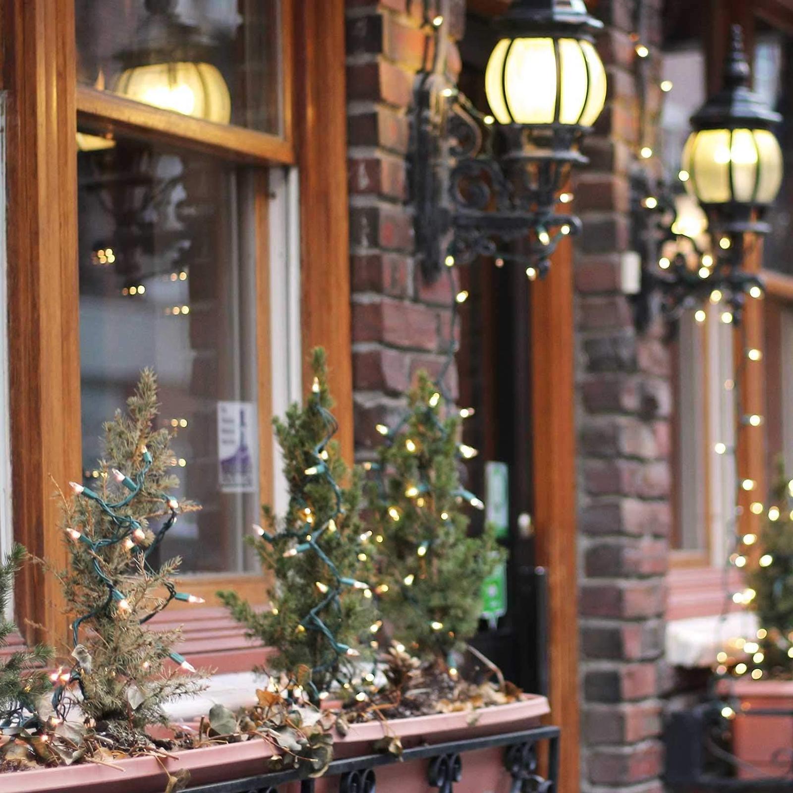 100 Led Christmas Lights 25ft Green Wire